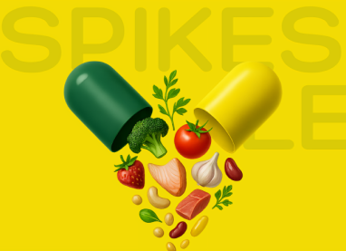 برنامج التدريب